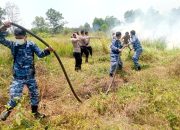 Komandan Lanud Sjamsudin Noor Pimpin Langsung Pemadaman Kebakaran Hutan dan Lahan di Kalimantan Selatan