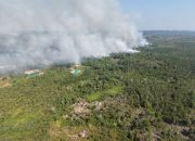 Respons Cepat Karhutla Dekat IKN, TNI Gerakkan Helikopter Caracal untuk _Water Bombing_