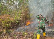 TNI Perkuat Penanganan Karhutla di Kawasan IKN Melalui Darat dan Udara