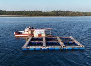 PELNI Kembangkan Ekosistem Bisnis Kelautan dan Wisata Masyarakat Adat di Pulau Kapota