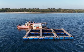 PELNI Kembangkan Ekosistem Bisnis Kelautan dan Wisata Masyarakat Adat di Pulau Kapota