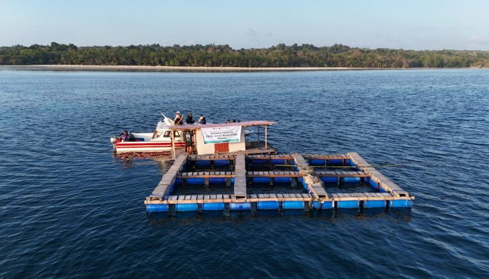 PELNI Kembangkan Ekosistem Bisnis Kelautan dan Wisata Masyarakat Adat di Pulau Kapota