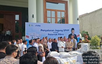 223.000 Ton Jagung Dialokasikan, Tiga Pabrik Tepung Telur Siap Dibangun — Hasil RDP Komisi 4 DPR RI dengan Peternak