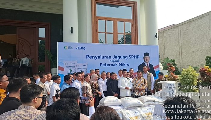 223.000 Ton Jagung Dialokasikan, Tiga Pabrik Tepung Telur Siap Dibangun — Hasil RDP Komisi 4 DPR RI dengan Peternak